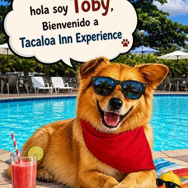 Hotel TACALOA INN EXPERIENCE，位于里考尔特的酒店