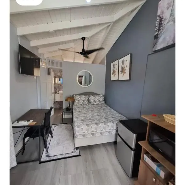 Carmen's Cozy Studio，位于布里奇敦的酒店