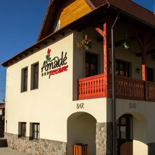 Amadé Pension & Restaurant，位于Nădejdea的酒店