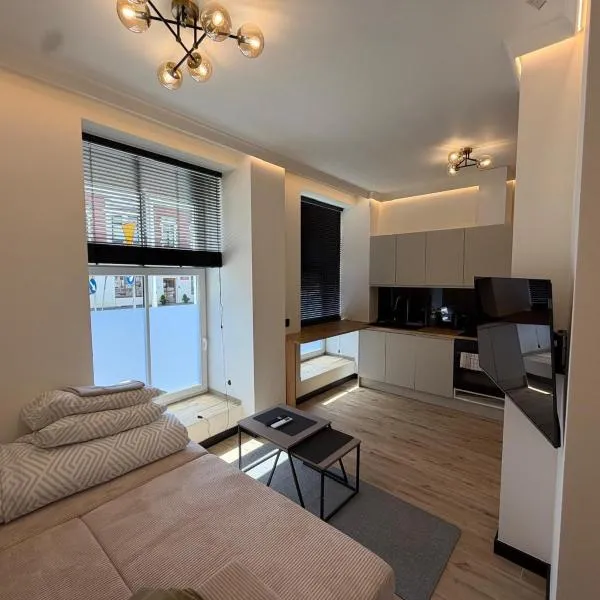 Apartament Ania Nysa Centrum z bezpłatnym parkingiem，位于尼萨的酒店