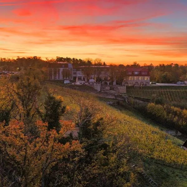 Weinberghotel Edelacker，位于弗赖堡的酒店