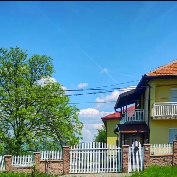 Villa EMIR - Bosnian Pyramids - Rooms and Entire Villa，位于维索科的酒店