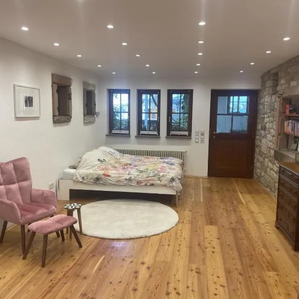Glückssache-Charmantes Apartment in ruhiger und zentraler Lage，位于海德堡的酒店