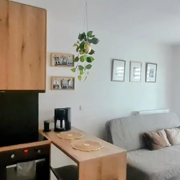 Apartament Amelia，位于扎莫希奇的酒店