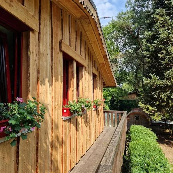 Chalet De La Forêt - 6 personnes，位于Saint-Sauveur的酒店