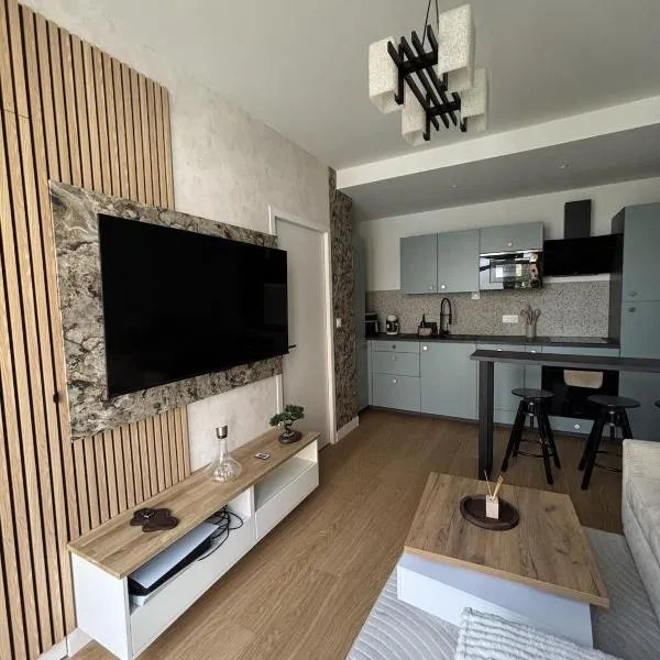Appartement neuf & élégant- Centre Lorient，位于洛里昂的酒店
