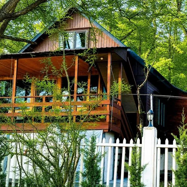 Wooden House in Kiketi，位于Kiketʼi的酒店