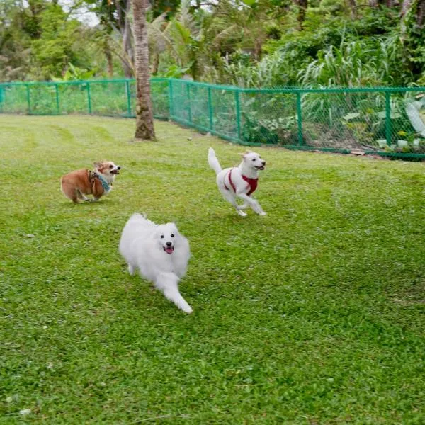 白陽山莊寵物民宿 Whitesun Pet Resort，位于吉安的酒店