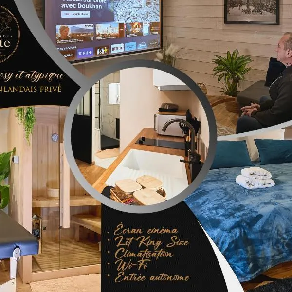 Duplex Sauna Cinéma，位于里永的酒店