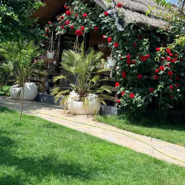Cabana Sorina，位于科尔布的酒店