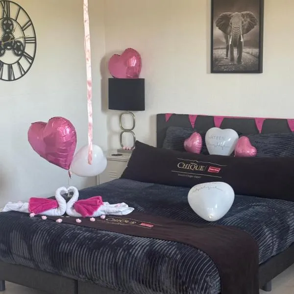 DE WEELEN met Jacuzzi en of Zwembad Topkeuze Romantiek，位于Lutjebroek的酒店