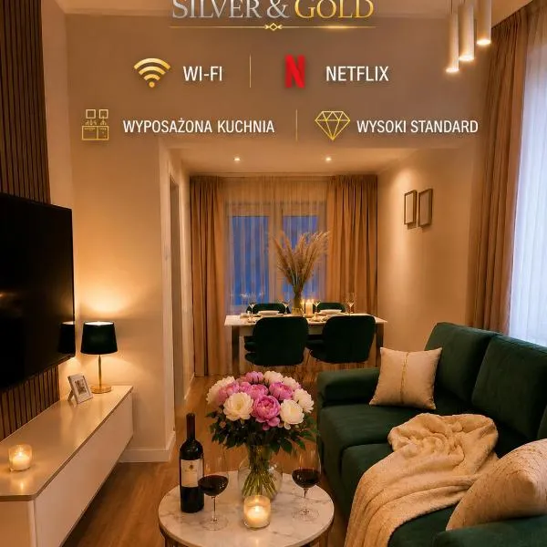 Apartament Gold - Góry Sowie - Głuszyca，位于格武希察的酒店