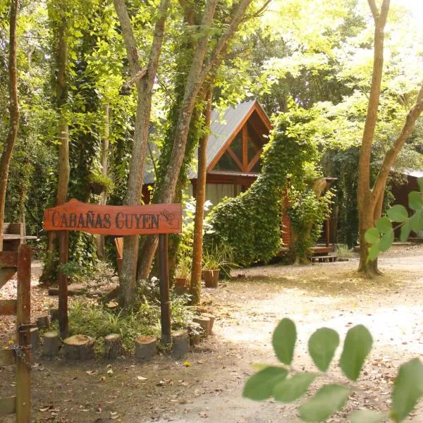 Cabañas Cuyen，位于蓬塔因迪奥的酒店