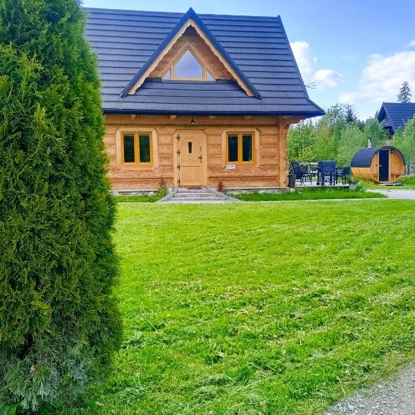 DOMEK POLANKA z sauną i widokiem na Tatry，位于维托韦的酒店