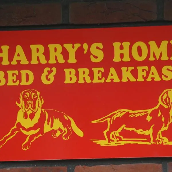 Harry's Home Tiel Bed & Breakfast，位于Asch的酒店