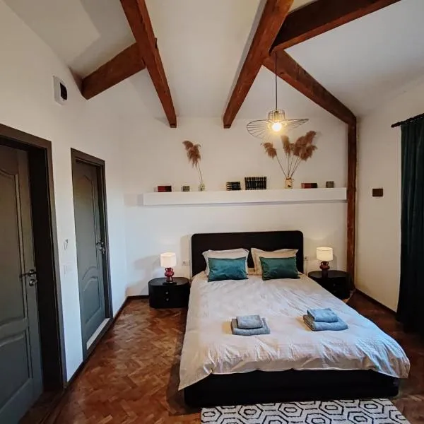Vintage House Apart，位于布泽乌的酒店