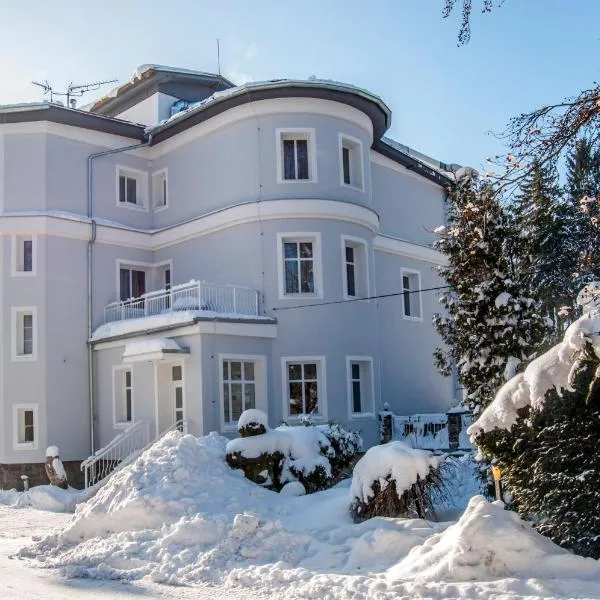 特拉登伯格旅馆，位于Studenec的酒店