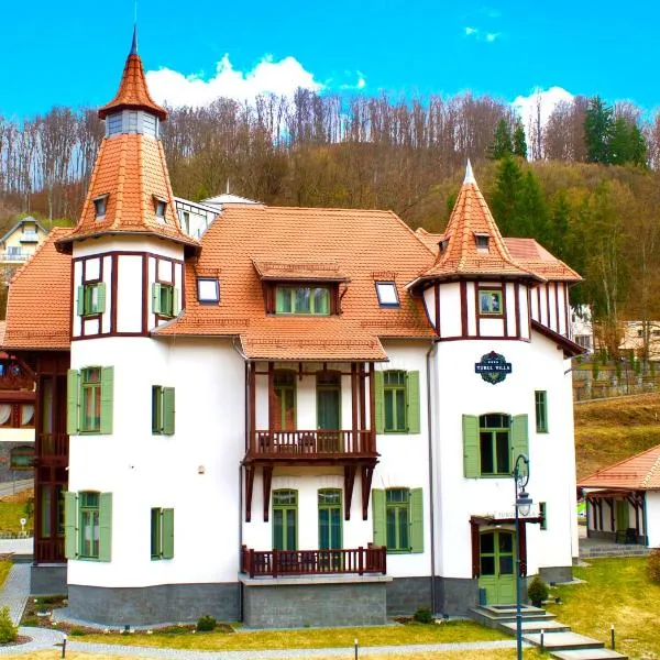 Turul Villa，位于索瓦塔的酒店