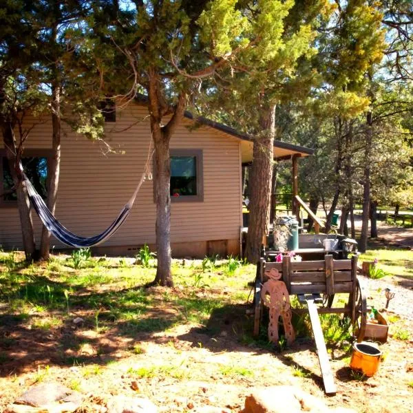 Peaceful Pine Place Cabin，位于Pine的酒店