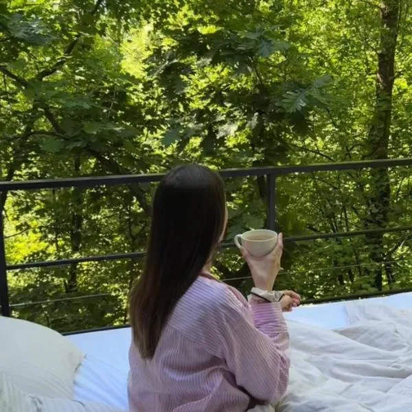 Furo Treehouse，位于Barajevo的酒店