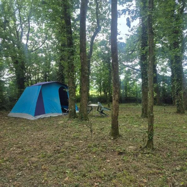 Le petit campîng de Vallye，位于Maxent的酒店