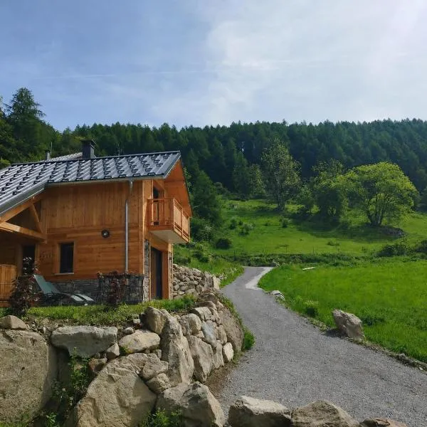 Les 2 Chalets Alpins & Bains Nordiques，位于圣米舍德谢洛的酒店