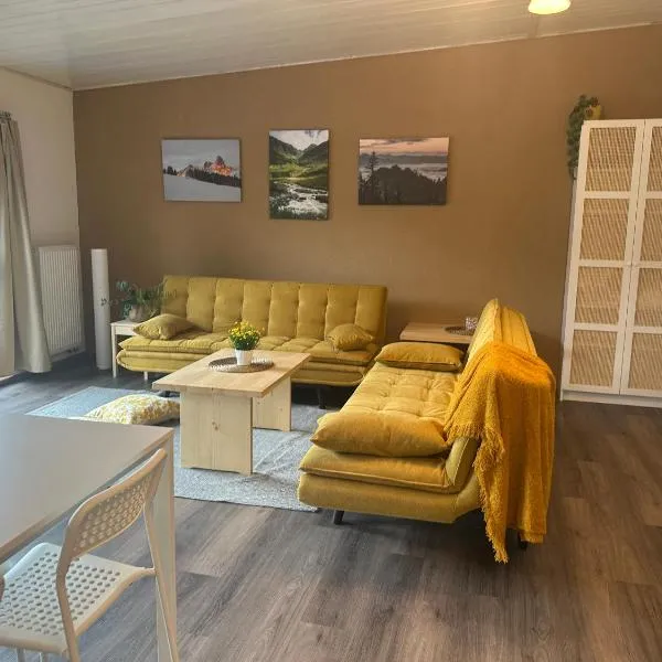 Apartmány PEKY Červená Voda,位于切尔韦纳沃达的酒店