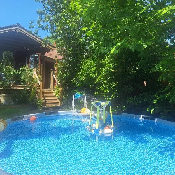 CABIN in hosts huge garden CHILD FRIENDLY with Hens Kittens firepit Marshmallows，位于查林的酒店