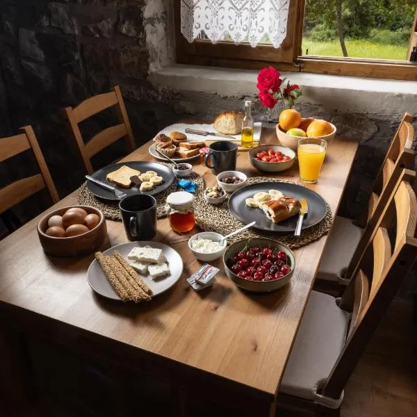 PETRASTERO Mountain Retreat-Agrafa Evrytania Greece，位于Vérnikon的酒店