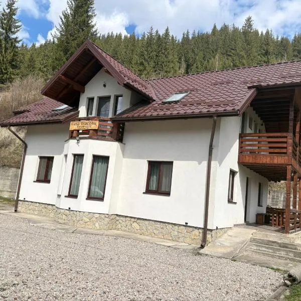 Casa Diaconu,位于丰杜摩尔多瓦的酒店