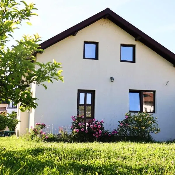 Virajlux Verde Retreat，位于Mioveni的酒店