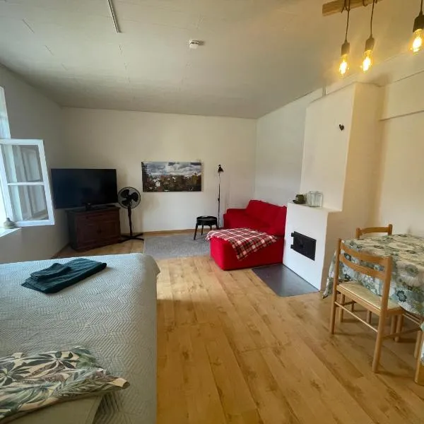 Kantreküla Apartment - lemmikloomasõbralik ja kodune，位于维尔扬迪的酒店