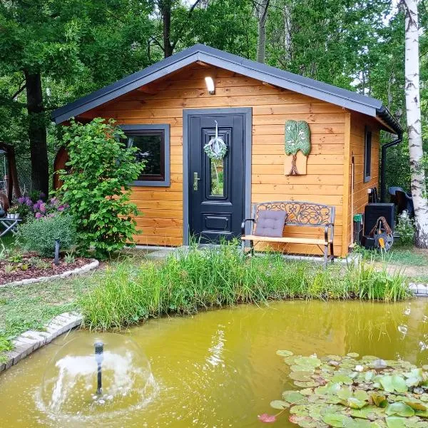 Letniak pod Dębami，位于Grabina的酒店