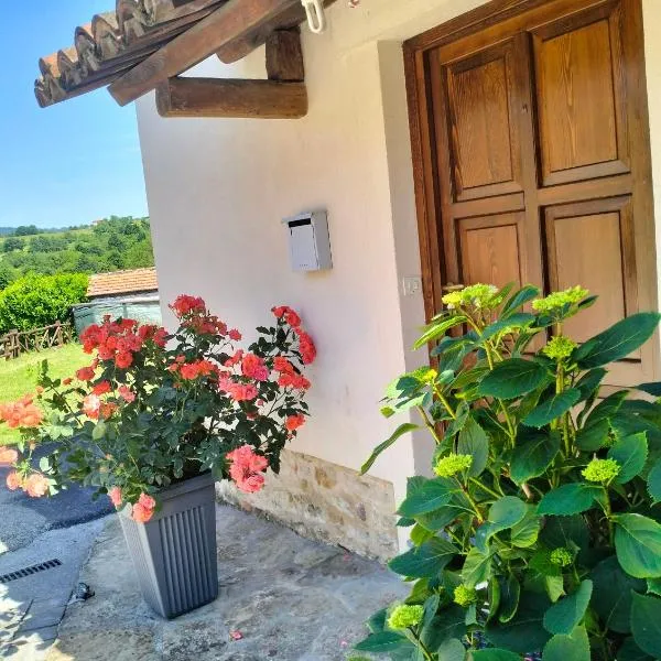 Casetta delle rose，位于Bormida的酒店