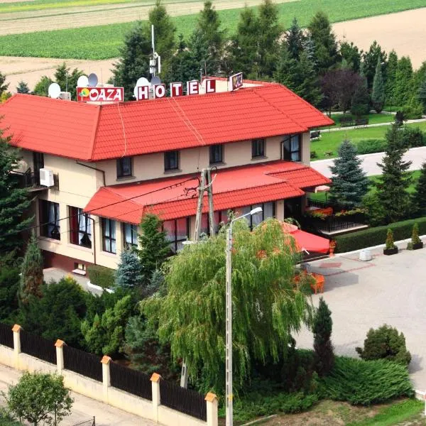 奥阿扎酒店，位于Żerków的酒店