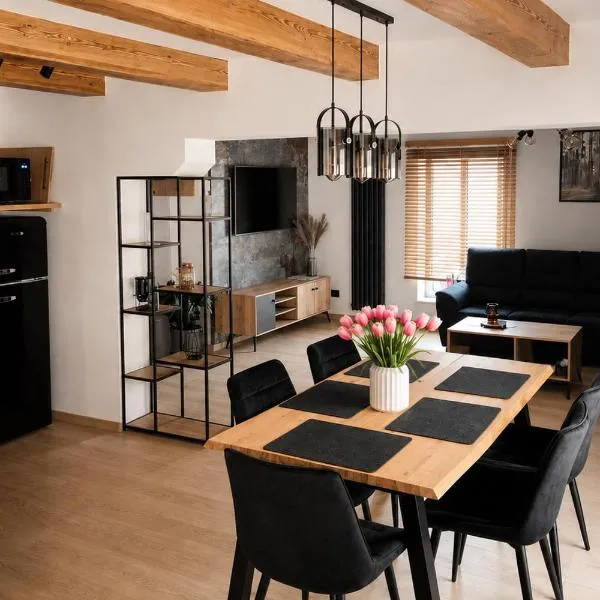 Apartamenty Rynek Szamotuły，位于沙莫图维的酒店