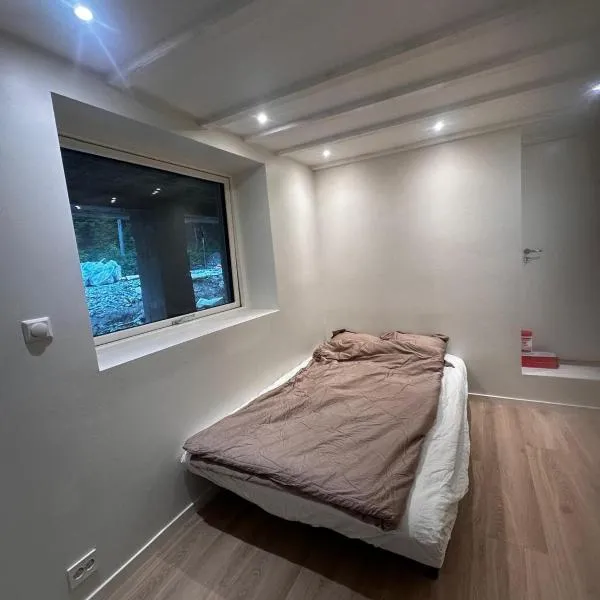 Abildsø Apartment，位于奥斯陆的酒店