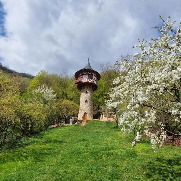 Veža na vlásku,位于Háj的酒店