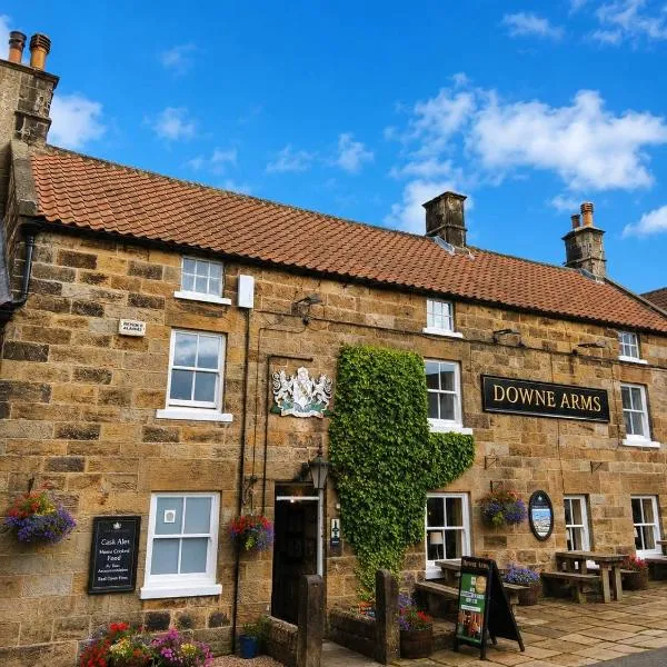 The Downe Arms Inn，位于Castleton的酒店