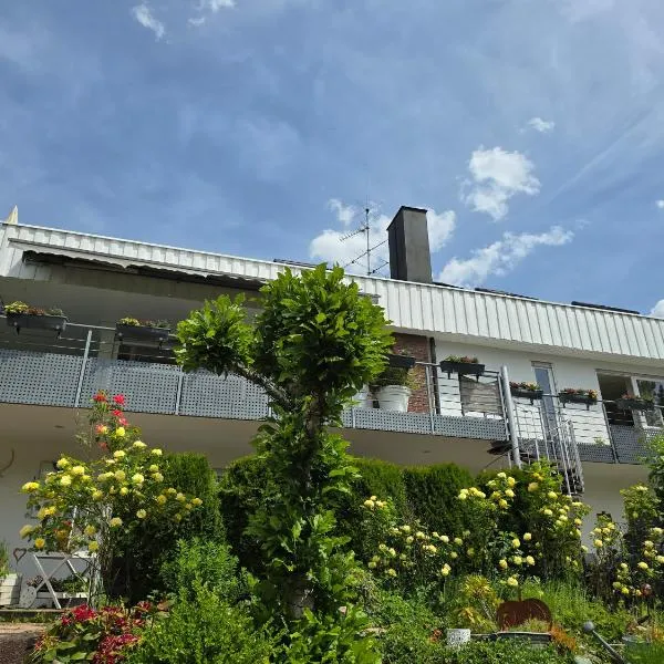 'Tor zum Schwarzwald' Ferienwohnungen mit Sauna，位于Wildberg的酒店