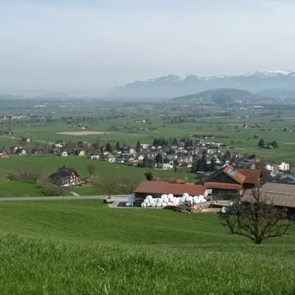 Moderne & grosse Wohnung mit atemberaubernder Aussicht über das Rheintal，位于Grabs的酒店