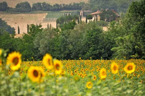 Agriturismo Val di Sterza，位于里帕尔贝拉的酒店