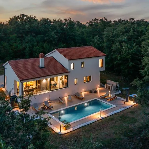 Vila Prisunca with jacuzzi & swimming pool，位于帕津的酒店