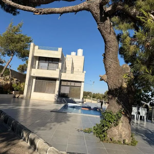 The Pine Tree Chalet，位于杰拉什的酒店