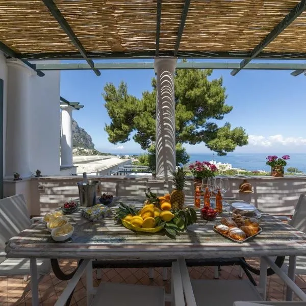 Villa Preziosa - Panoramic Sea View，位于卡普里的酒店