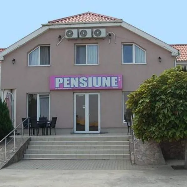 Pensiunea Rodica，位于Lovrin的酒店