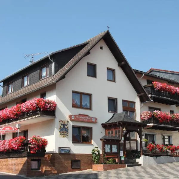 绍尔乡村别墅酒店，位于Heringhausen的酒店