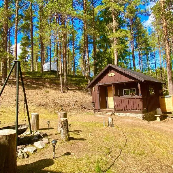 Beaver Cabin，位于莫拉的酒店