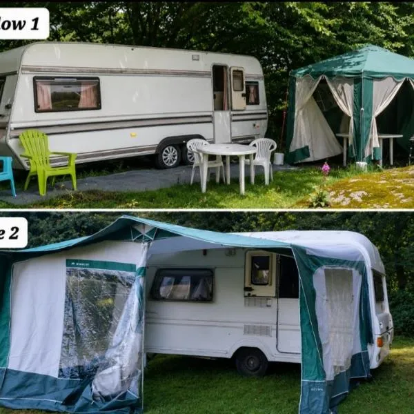 Fern Meadow Caravan 1，位于Saint-Michel-de-Montjoie的酒店