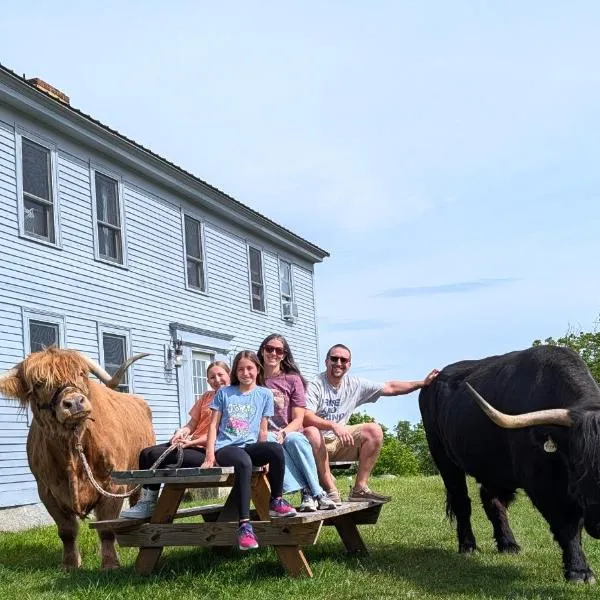 Cozy Highland Cattle-View Suite Peaceful, Private Pet-Friendly，位于劳登的酒店